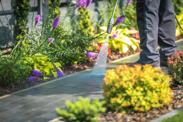 Best Pool Deck Cleaning  in Chappaqua, NY